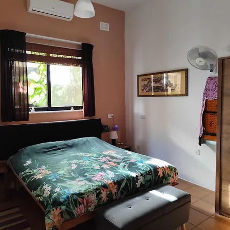 One Lemon Tree Apartment